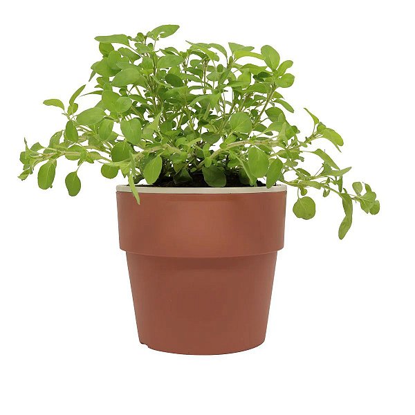 VASO  AUTOIRRIGÁVEL TERRACOTA FECHADO M