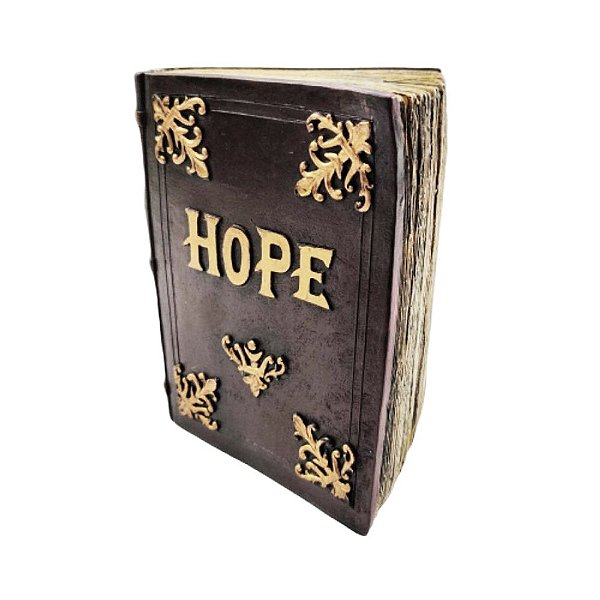 LIVRO COFRE EM RESINA HOPE