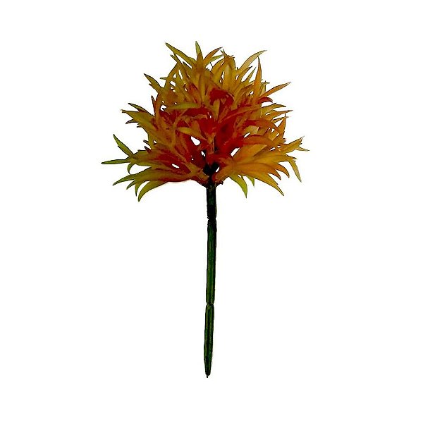 FLOR PERMANENTE SUCULENTA