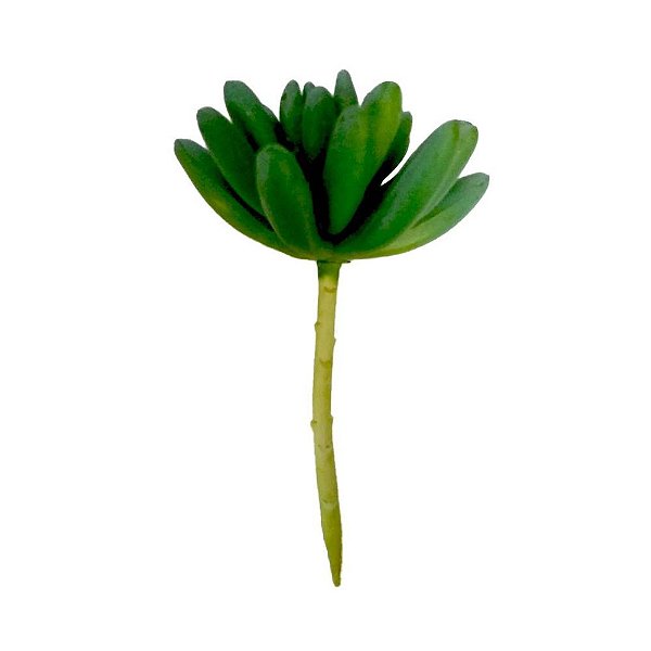 FLOR PERMANENTE SUCULENTA VERDE CLARO