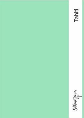 Papel Color Plus 180 gramas - A4 - Tahiti (verde claro)