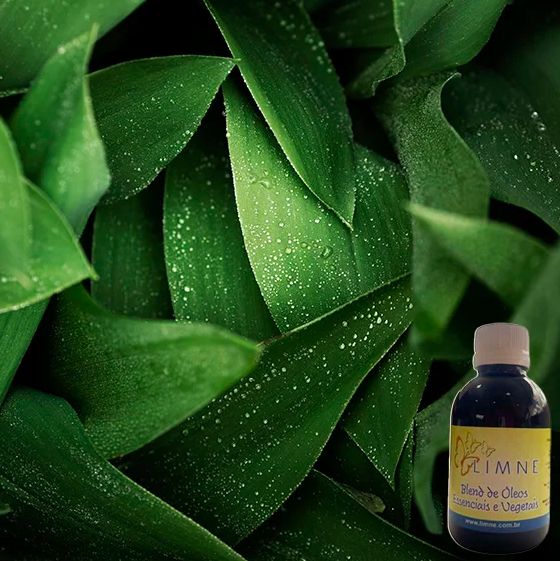 BLEND DE ÓLEOS ESSÊNCIAIS E VEGETAIS 100ML - REPELENTE - LIMNE