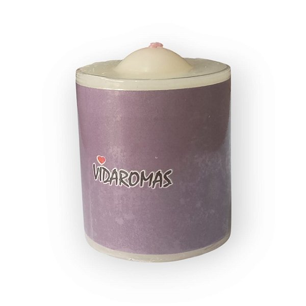 Vela Aromatica Ameixa Vidaromas 60g