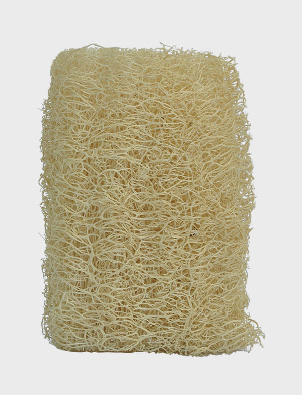 Bucha vegetal Toco Qually