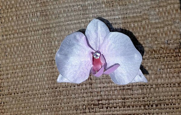 Orquídea branca com rosa