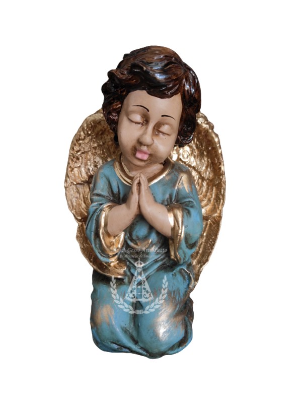 Anjo Ajoelhado Mãos Postas Pintado 19 cm