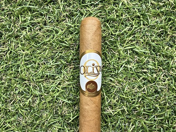 Charuto Oliva Connecticut Reserve Petit Corona - Unidade