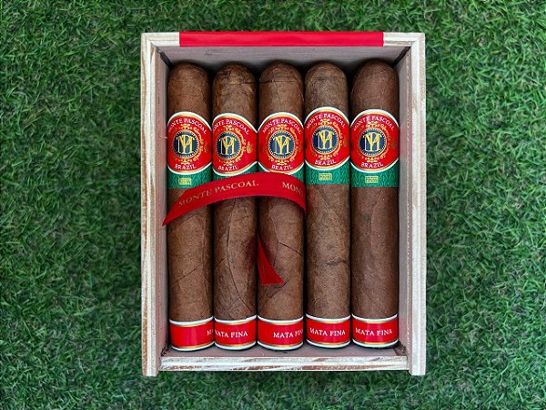 Charuto Monte Pascoal Mata Fina Robusto - Caixa com 20