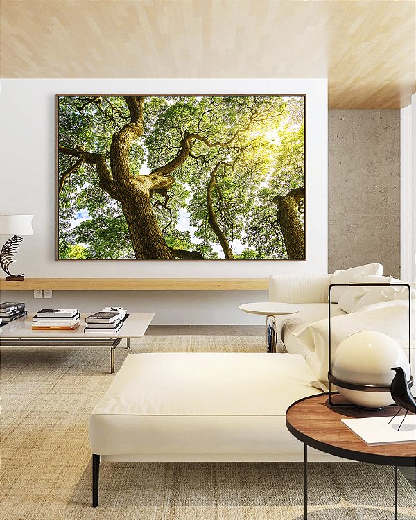 Quadro Árvores e Céu de Floresta Folhas Sol Canvas Com Moldura