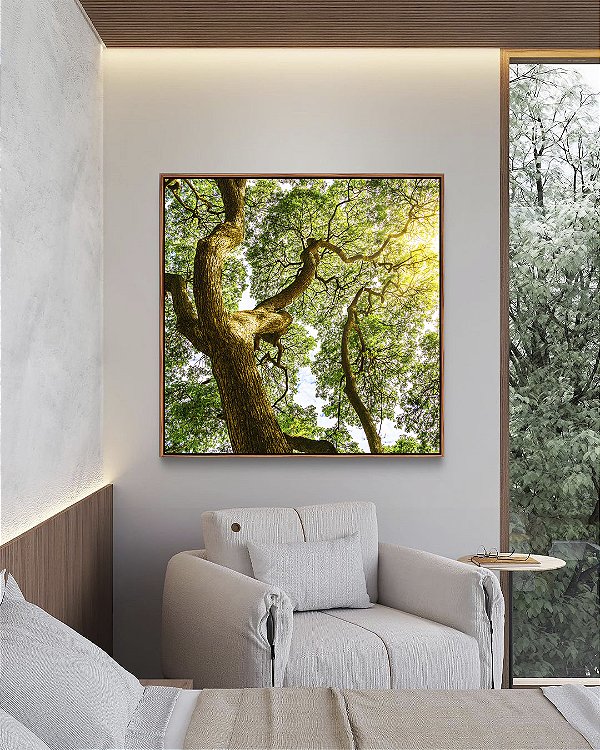 Quadro Quadrado Árvores e Céu de Floresta Folhas Sol Canvas Com Moldura