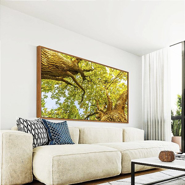 Quadro Horizontal Luzes do Sol Árvores e Folhas Verdes Paisagem Canvas Moldura