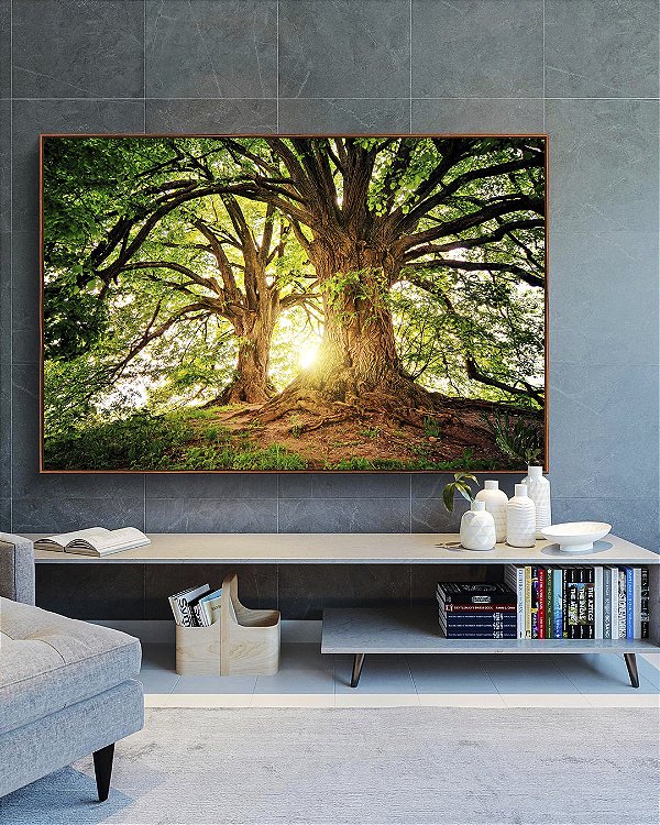 Quadro Horizontal Árvores da Vida Sob a Luz do Sol Natureza Arte Canvas Moldura