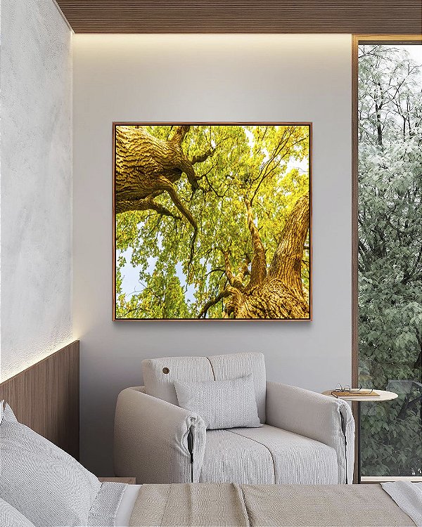 Quadro Quadrado Luzes do Sol Árvores e Folhas Verdes Paisagem Canvas Moldura