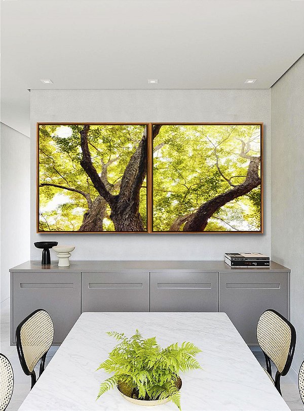 Duo de Quadros Quadrados Floresta Árvores Folhas Verdes e Claridade do Sol Arte Canvas Moldura