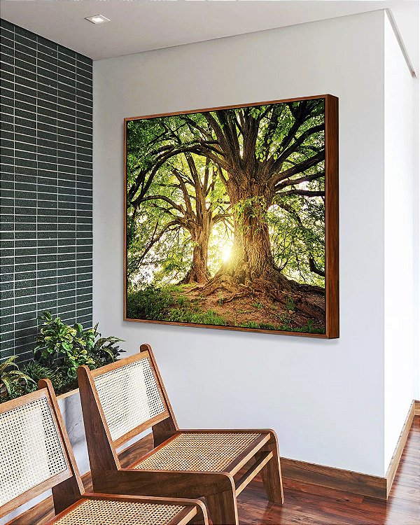 Quadro Quadrado Árvores da Vida Sob a Luz do Sol Natureza Arte Canvas Moldura
