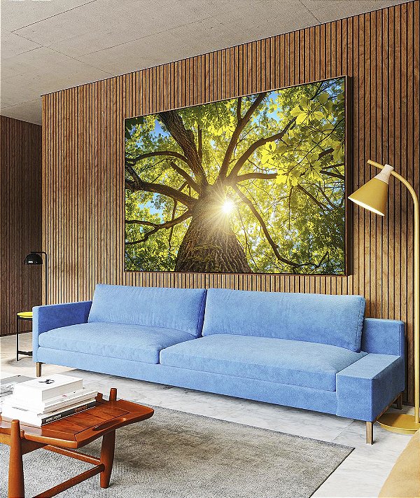 Quadro Horizontal Árvore Folhas Verdes Sol Céu Azul Canvas Moldura