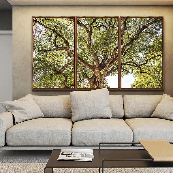 Trio de Quadros Copa de Árvore Céu Claro Natureza Canvas Moldura