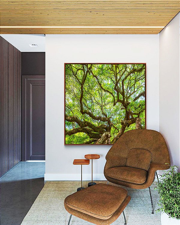 Quadro Quadrado Copa de Árvore Galhos Folhas Verde Vivo Natureza Canvas Moldura