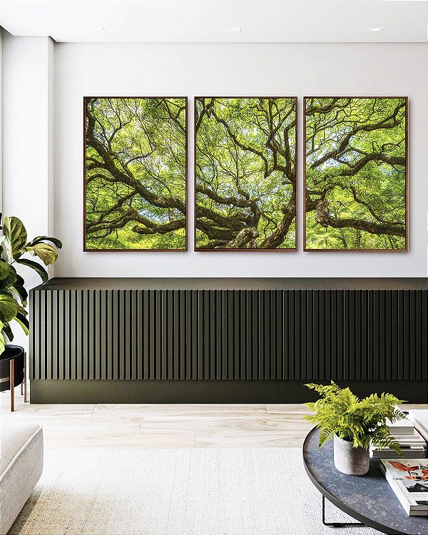 Trio de Quadros Copa de Árvore Galhos Folhas Verde Vivo Natureza Canvas Moldura