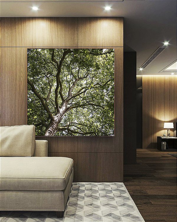 Quadro Quadrado Floresta Copa de Árvore Folhas Verdes Natureza Canvas Moldura