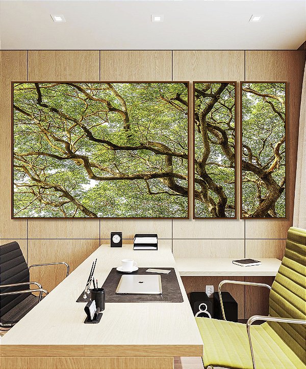 Trio de Quadros Estilizados Copa de Árvore com Galhos e Folhas Natureza Paisagem Canvas Moldura