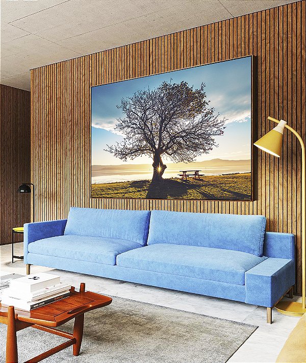 Quadro Horizontal Árvore Banco Céu Azul e Luzes do Sol Paisagem Canvas Moldura