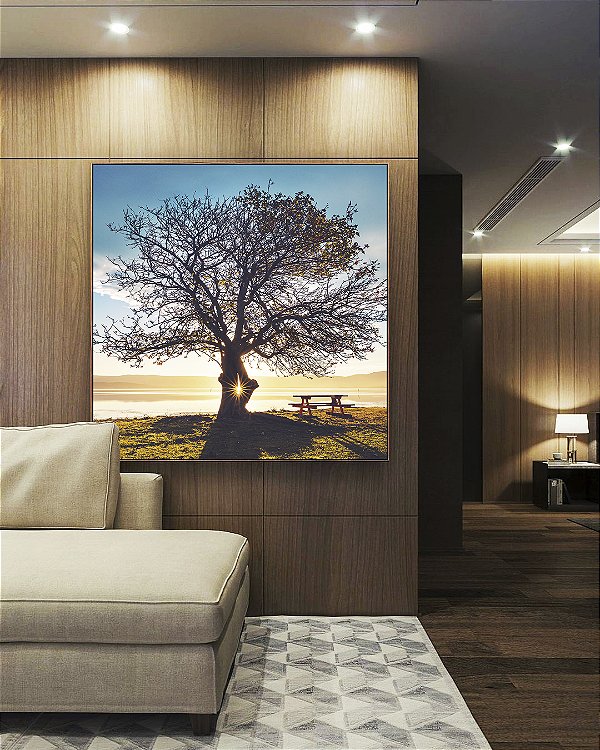 Quadro Quadrado Árvore Banco Céu Azul e Luzes do Sol Paisagem Canvas Moldura