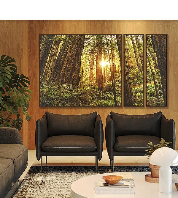 Trio de Quadros Estilizados Floresta Árores Luzes do Sol Natureza Canvas Moldura