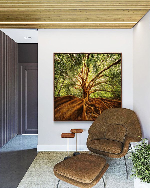 Quadro Quadrado Árvore Folhas Raízes Natureza Imponente Canvas Moldura