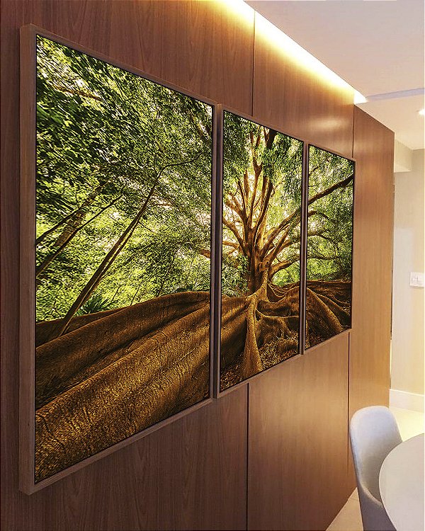 Trio de Quadros Árvore Folhas Raízes Natureza Imponente Canvas Moldura