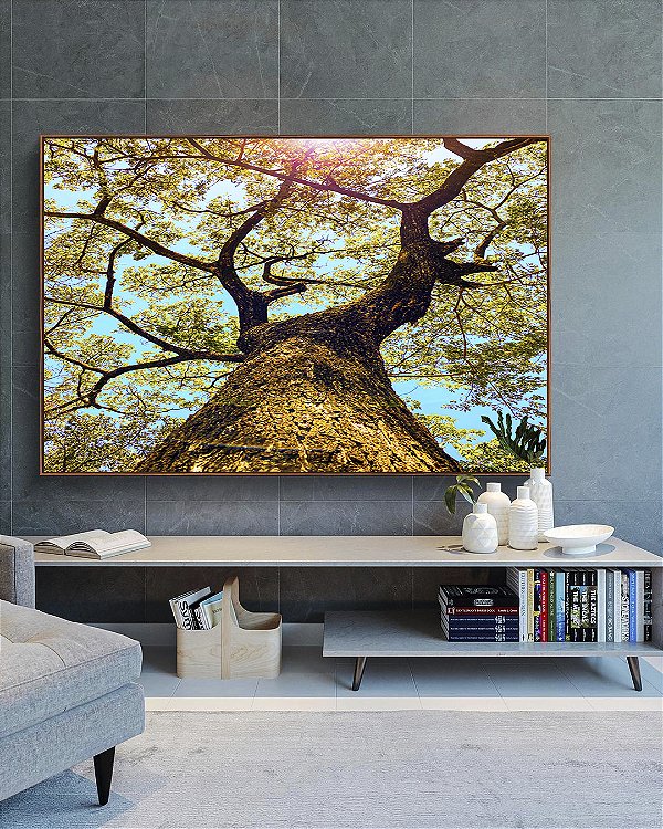 Quadro Horizontal Árvore Galhos Céu Turquesa Claro Natureza Paisagem Canvas Moldura