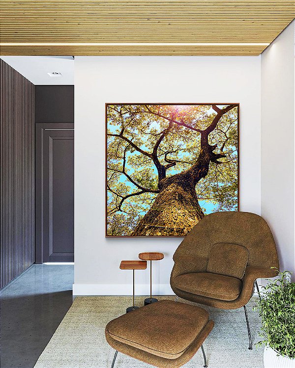 Quadro Quadrado Árvore Galhos Céu Turquesa Claro Natureza Paisagem Canvas Moldura