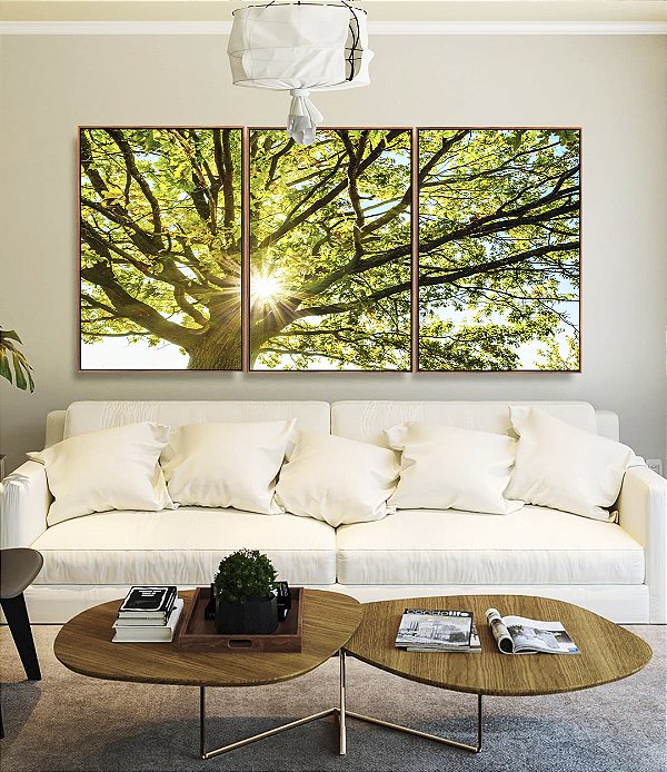 Trio de Quadros Árvore Folhas Verdes Reflexos do Sol Paisagem Canvas Moldura