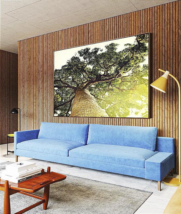 Quadro Horizontal Natureza Árvore Luzes do Sol Paisagem Canvas Moldura