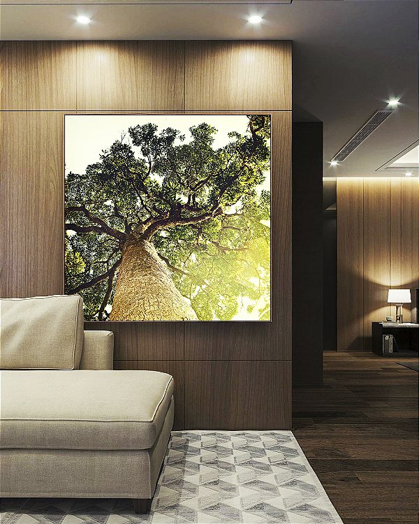 Quadro Quadrado Natureza Árvore Luzes do Sol Paisagem Canvas Moldura