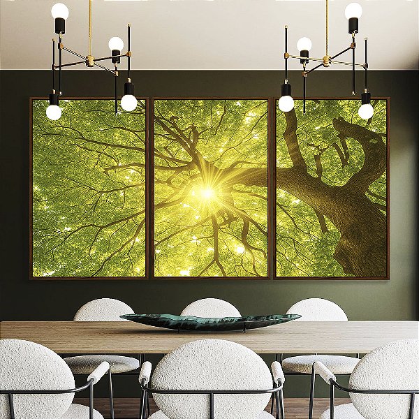 Trio de Quadros Árvore Folhas Verdes Luzes do Sol Céu de Floresta Canvas Moldura