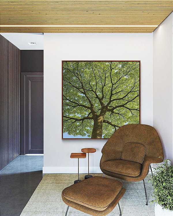 Quadro Quadrado Natureza Árvore de Folhas Verdes Paisagem Canvas Moldura