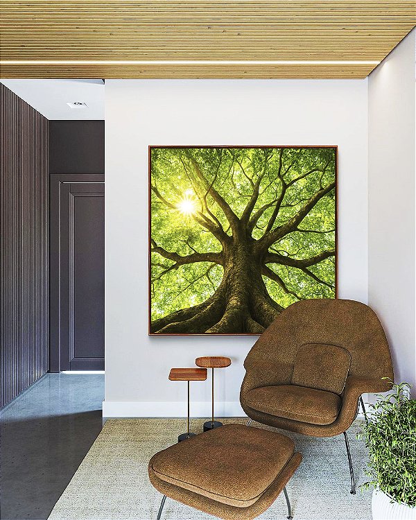 Quadro Quadrado Árvore Folhas Verdes Luzes Reflexos do Sol Paisagem Canvas Moldura