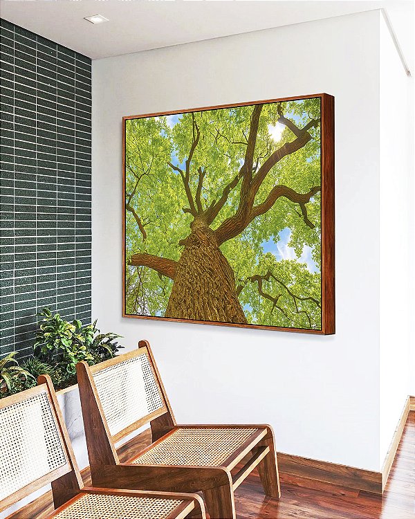 Quadro Quadrado Árvore Luz Natural Folhas Verdes Canvas Moldura