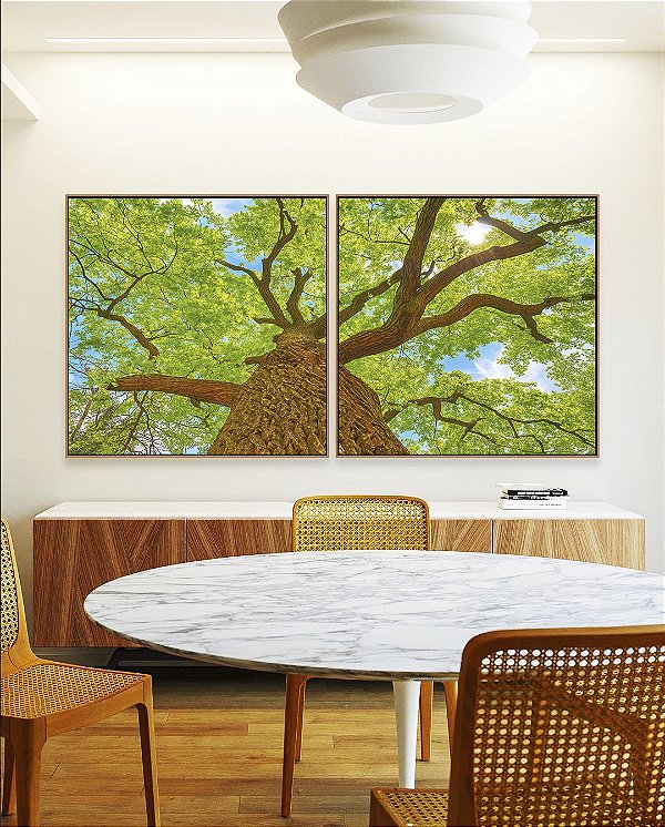 Duo de Quadros Quadrados Árvore Luz Natural Folhas Verdes Canvas Moldura