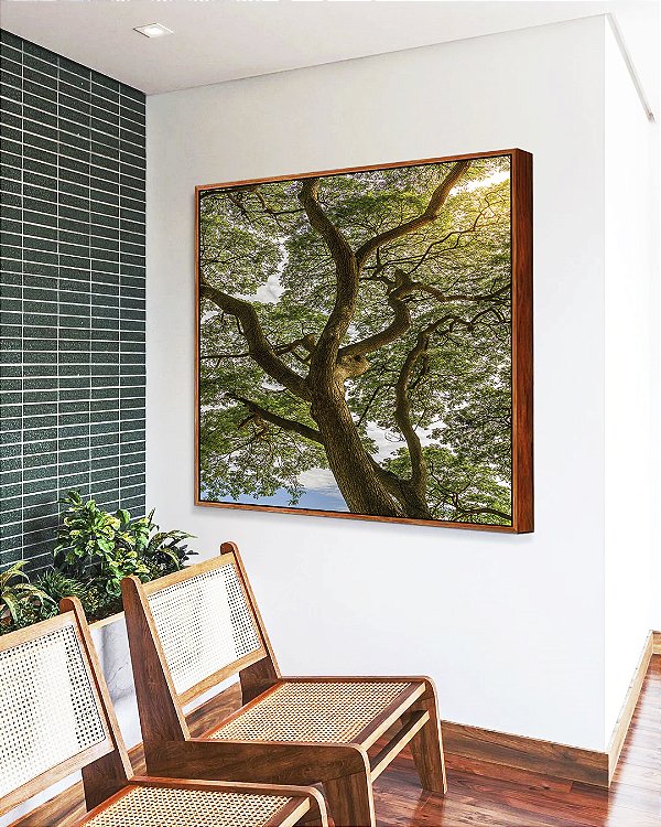 Quadro Quadrado Paisagem Árvore Folhas Verdes Natureza Canvas Moldura