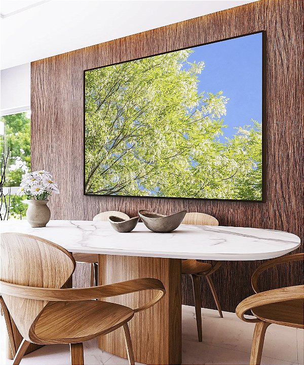 Quadro Horizontal Árvore Acácia-Branca Céu Azul Natureza Canvas Moldura