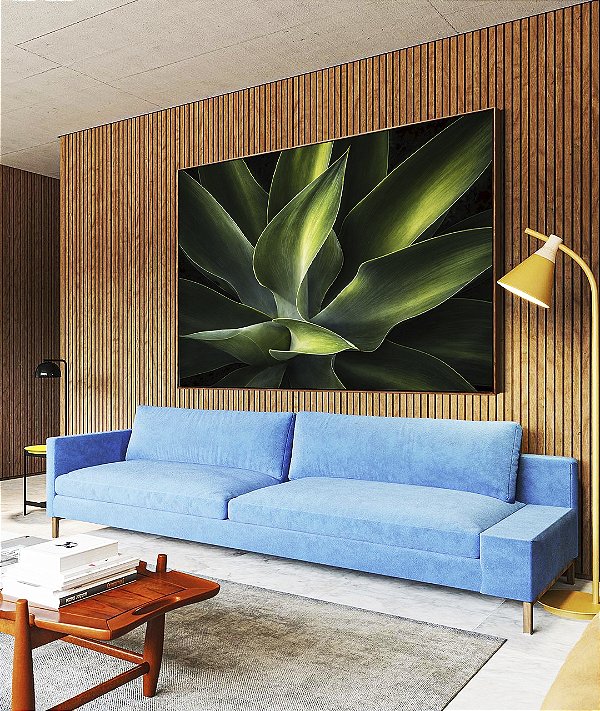 Quadro Horizontal Planta Agave-Dragão Folhas Verdes Natureza Canvas Moldura