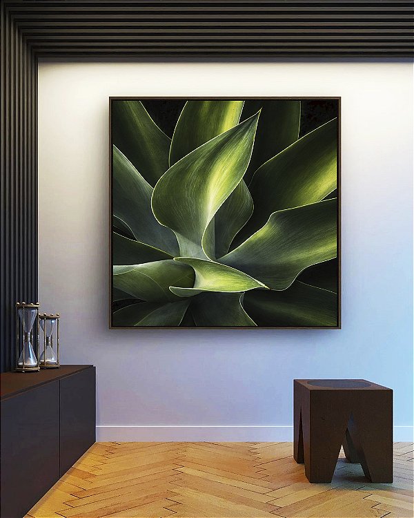 Quadro Quadrado Planta Agave-Dragão Folhas Verdes Natureza Canvas Moldura