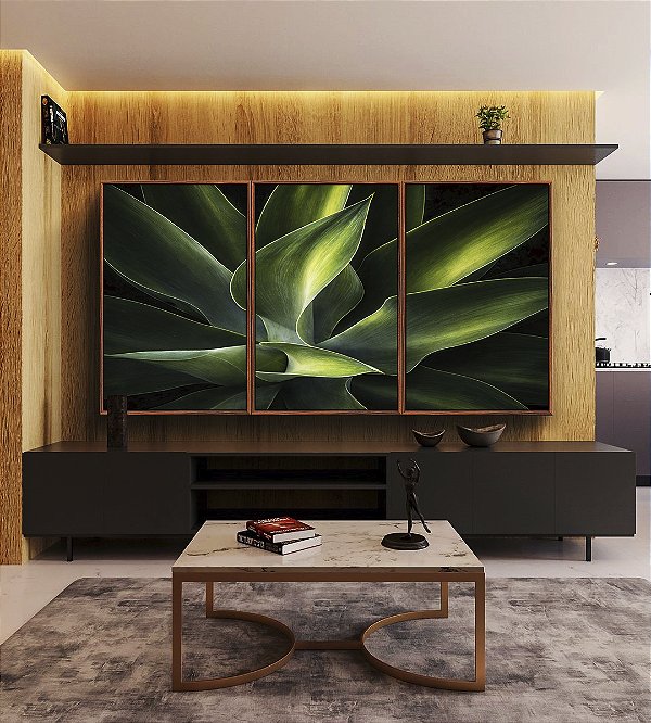 Trio de Quadros Planta Agave-Dragão Folhas Verdes Natureza Canvas Moldura
