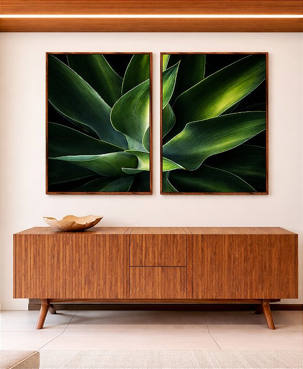 Duo de Quadros Planta Agave-Dragão Folhas Verdes Natureza Canvas Moldura