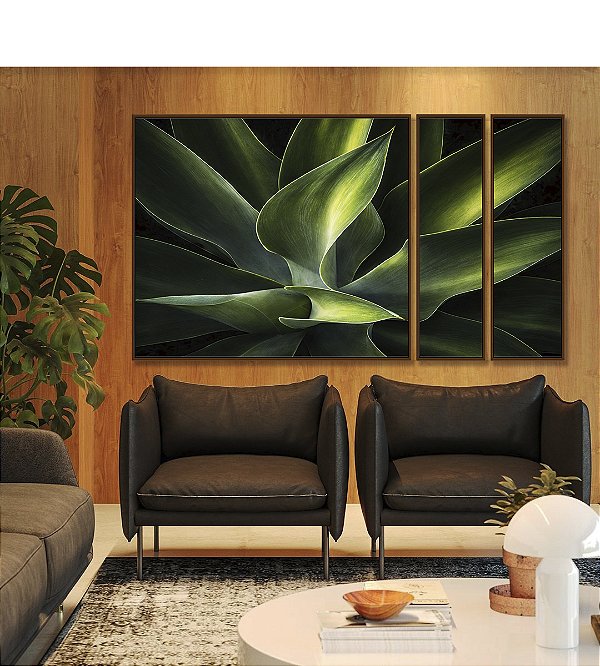 Trio de Quadros Estilizados Planta Agave-Dragão Folhas Verdes Natureza Canvas Moldura
