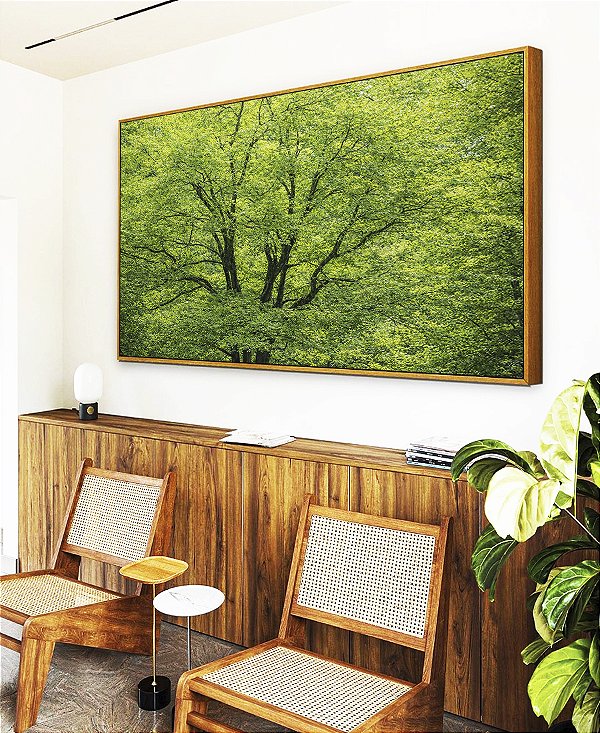 Quadro Horizontal Árvores Folhagem Verde Vibrante Natureza Canvas Moldura