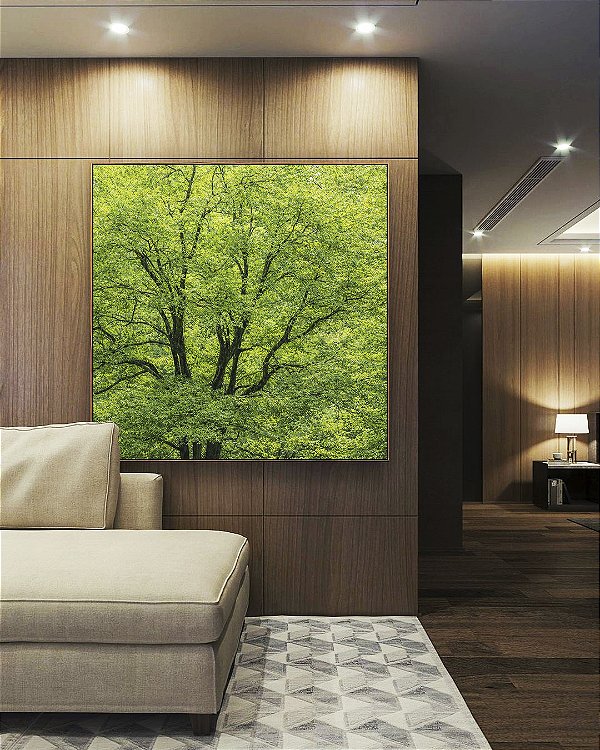 Quadro Quadrado Árvores Folhagem Verde Vibrante Natureza Canvas Moldura