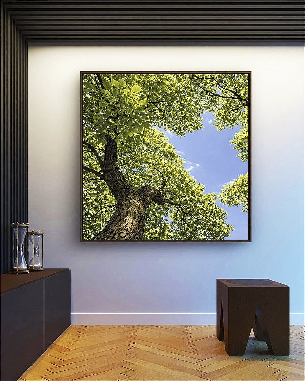 Quadro Quadrado Árvores Folhagem Verde Céu Limpo Natureza Canvas Moldura